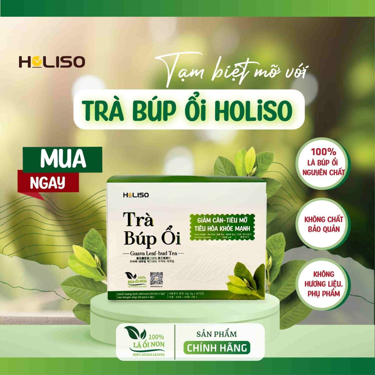 Trà Búp Ổi Tan Mỡ Bụng Holiso