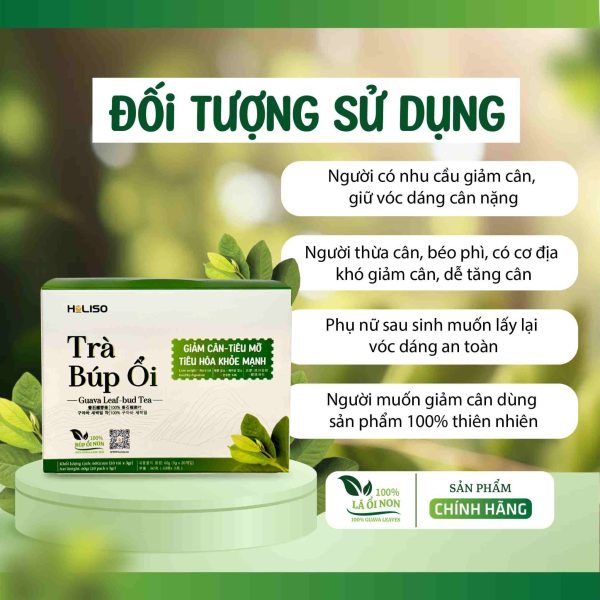 Trà Búp Ổi Tan Mỡ Bụng Holiso