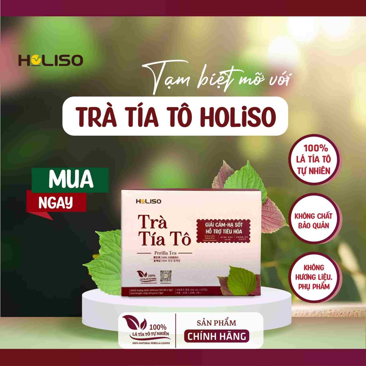 Trà Tía Tô Hỗ Trợ Gout Holiso