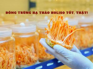 Tác dụng của đông trùng hạ thảo trong hỗ trợ điều trị ung thư