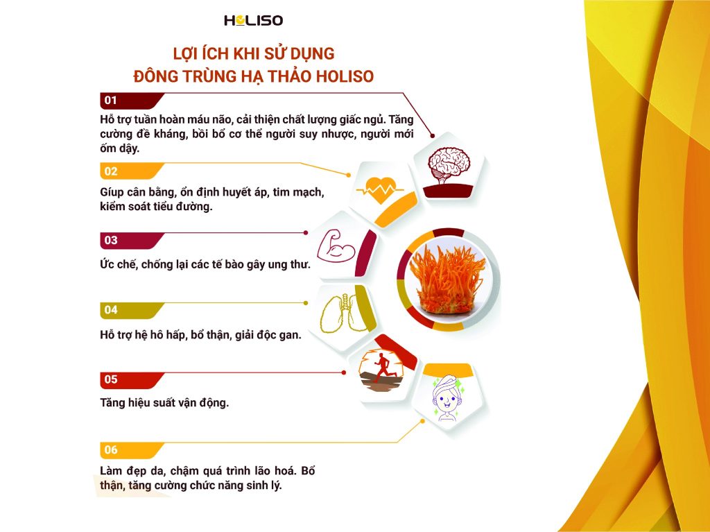 09 LỢI ÍCH KHI SỬ DỤNG ĐÔNG TRÙNG HẠ THẢO