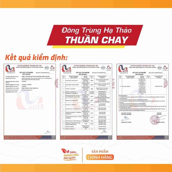 Đông Trùng Hạ Thảo Thuần Chay 11.7gr