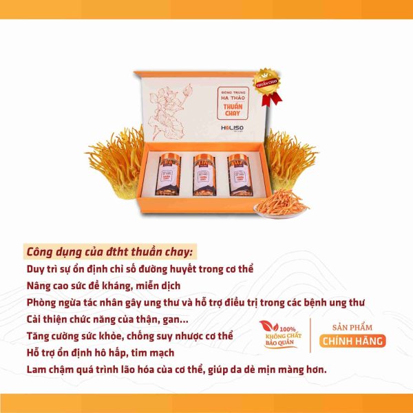 Đông Trùng Hạ Thảo Thuần Chay 3.9gr