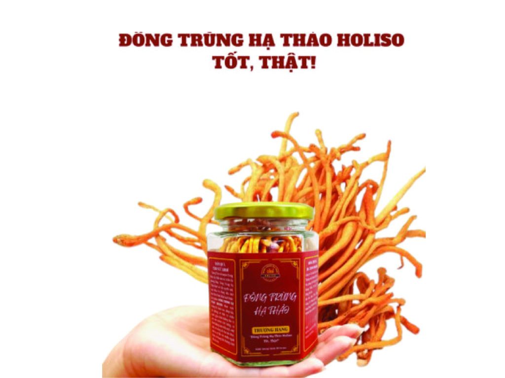 Đông trùng hạ thảo là gì?