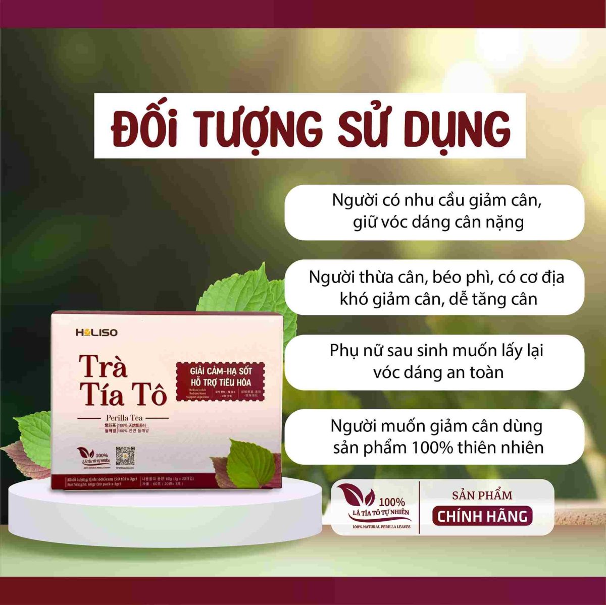 Trà Tía Tô Hỗ Trợ Gout Holiso