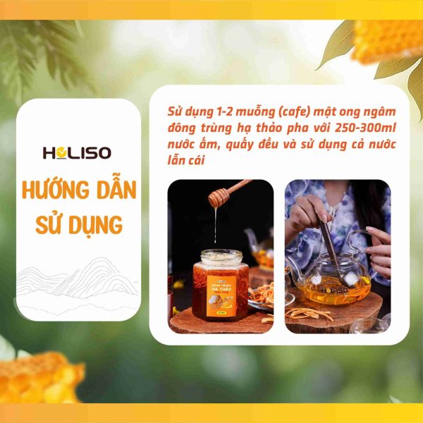 Đông Trùng Hạ Thảo Ngâm Mật Ong Holiso