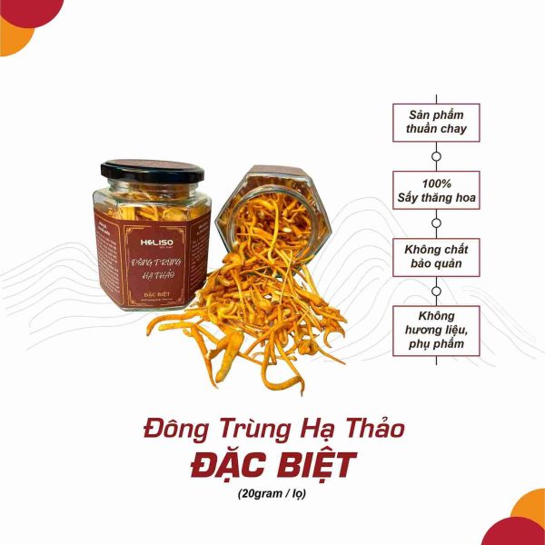 Đông Trùng Hạ Thảo Đặc Biệt 20gr