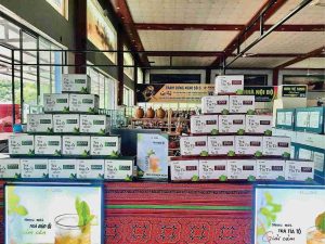 Đông Trùng Hạ Thảo Holiso: Sản Phẩm Chất Lượng Tại Trạm Dừng Nghỉ 237 Hà Nội - Lào Cai