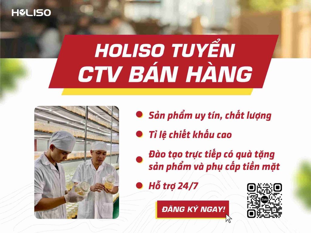 Holiso Tuyển CTV: Cơ Hội Kinh Doanh Tại Nhà Có Thu Nhập Lớn.