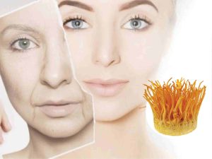 Tác dụng của đông trùng hạ thảo với phụ nữ mà bạn nên biết