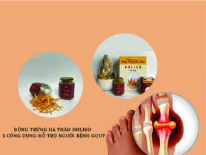 Đông trùng hạ thảo Holiso - 3 công dụng hỗ trợ người bệnh gout