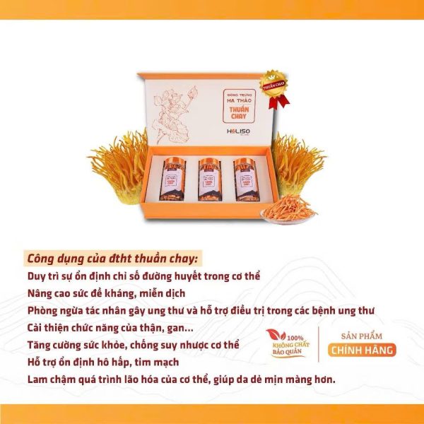 Đông Trùng Hạ Thảo Thuần Chay 11.7gr