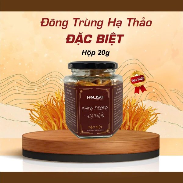 Đông Trùng Hạ Thảo Đặc Biệt 20gr